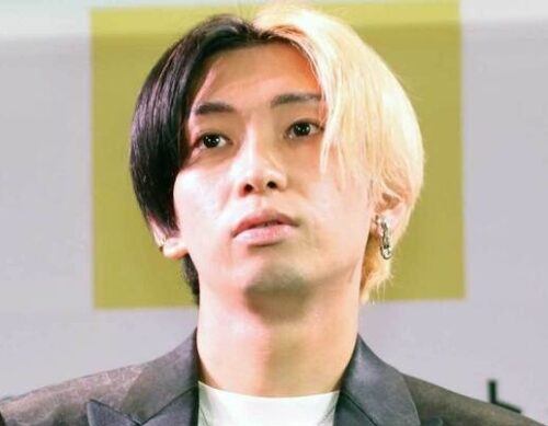 登録者数480万人を超えるトップクラスの男性YouTuber・ヒカル氏の画像